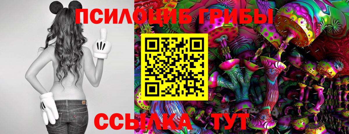 Псилоцибиновые грибы Magic Shrooms Грязи